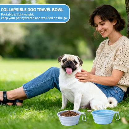 Collapsible Dog Bowl, 2Pack Macaron Color Pet Travel Bowls Silicone Foldable Water Feeder Dish for Small to Large Dogs Cat Walking Hiking Camping (Macaron Blue and Light Grey, Small)