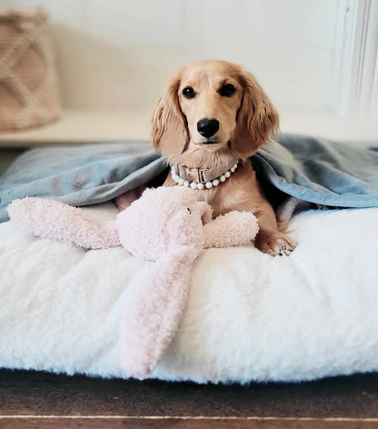 Orthopedic Burrow Bed for Anxious & Burrowing Pups