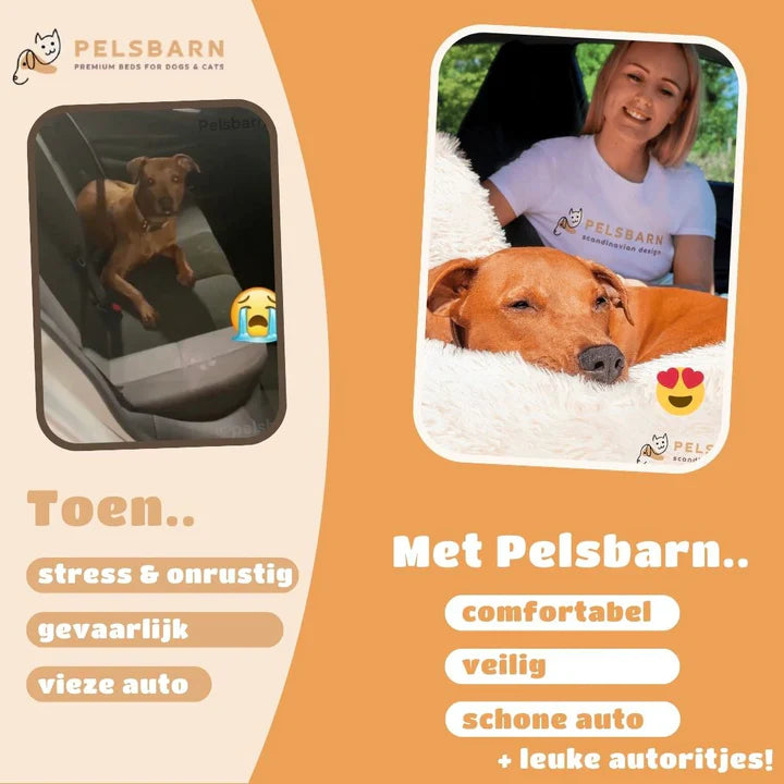 Car Dog Bed+ Free Seat Belt