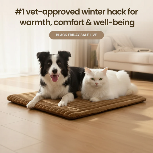 Self-heating pet mat