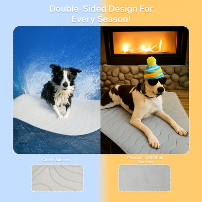 The innovative cooling mat for dogs