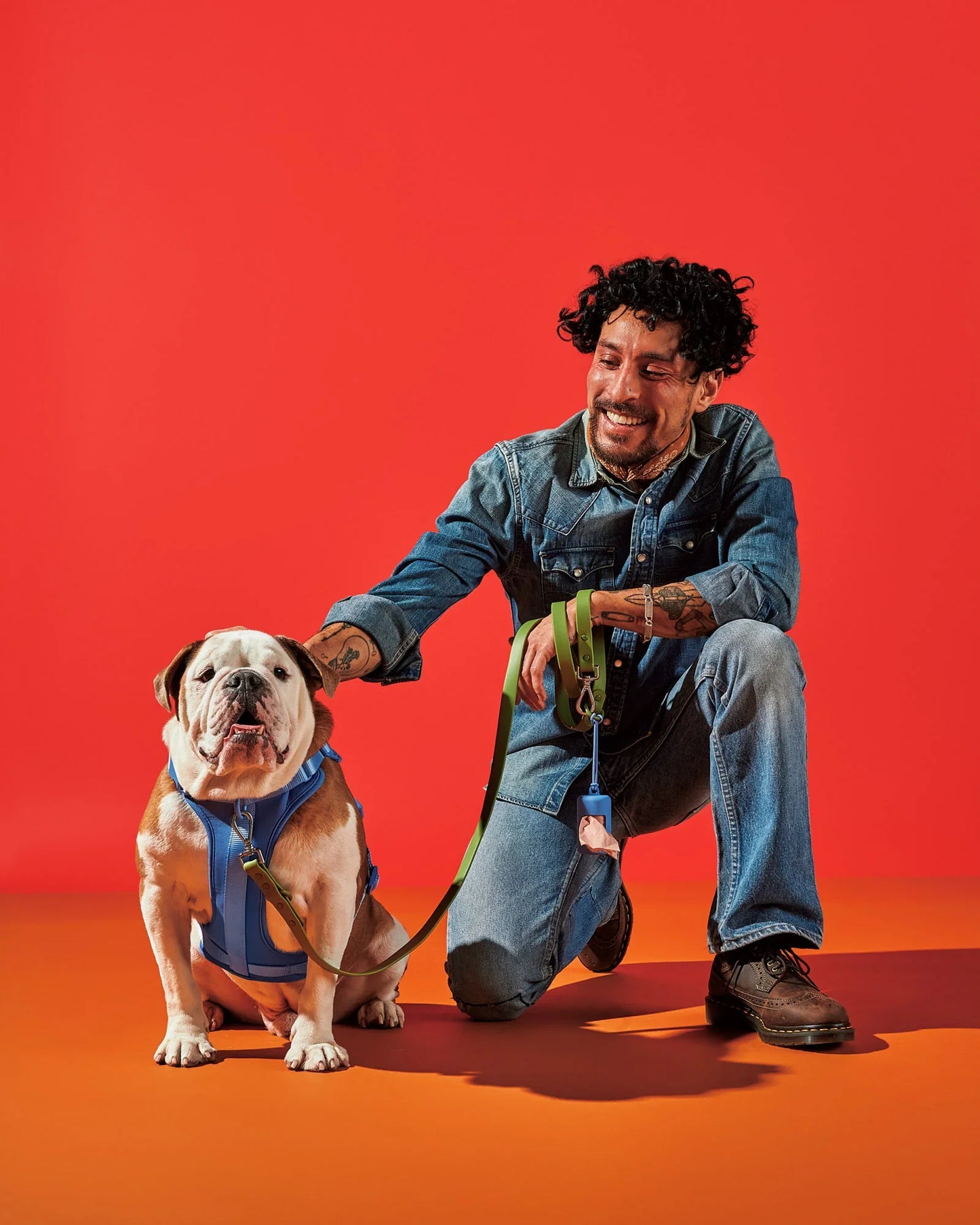 Harness Walk Kit