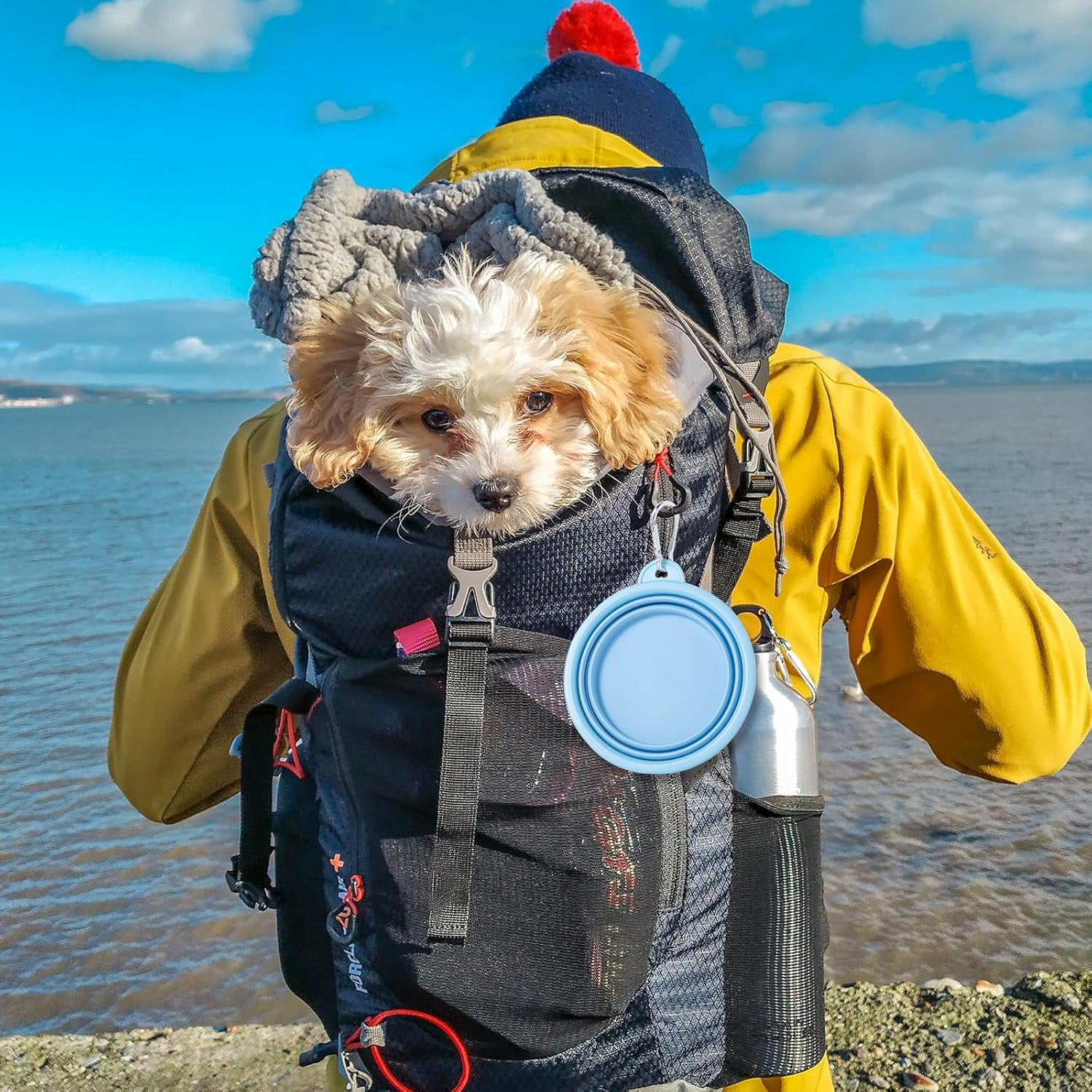 Collapsible Dog Bowl, 2Pack Macaron Color Pet Travel Bowls Silicone Foldable Water Feeder Dish for Small to Large Dogs Cat Walking Hiking Camping (Macaron Blue and Light Grey, Small)