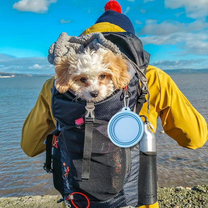 Collapsible Dog Bowl, 2Pack Macaron Color Pet Travel Bowls Silicone Foldable Water Feeder Dish for Small to Large Dogs Cat Walking Hiking Camping (Macaron Blue and Light Grey, Small)