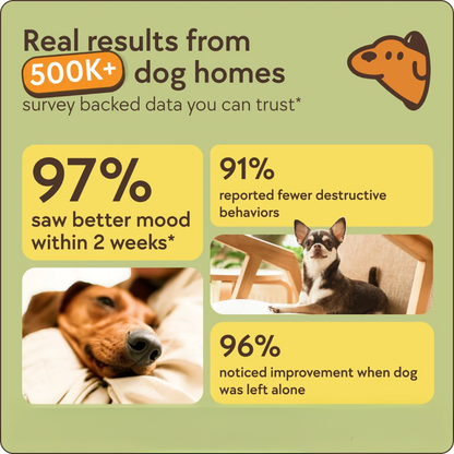Dogs Calming Diffuser Kit