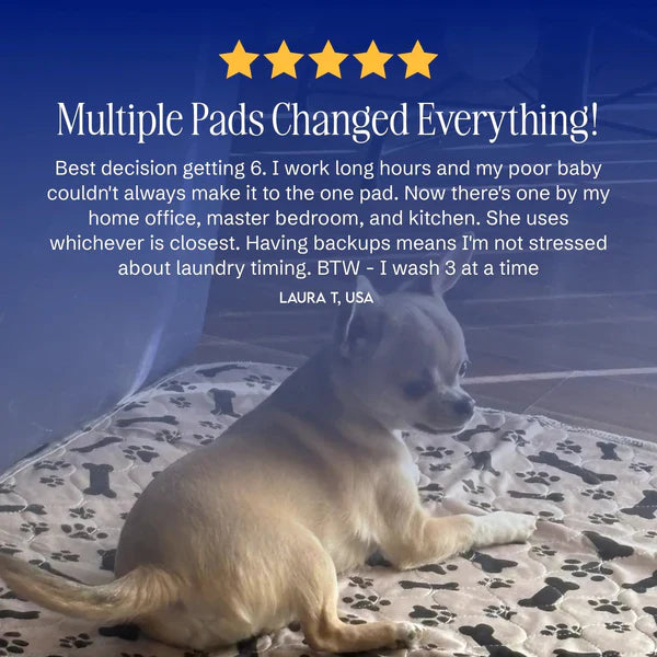 The Best Pee Pad You'll Get