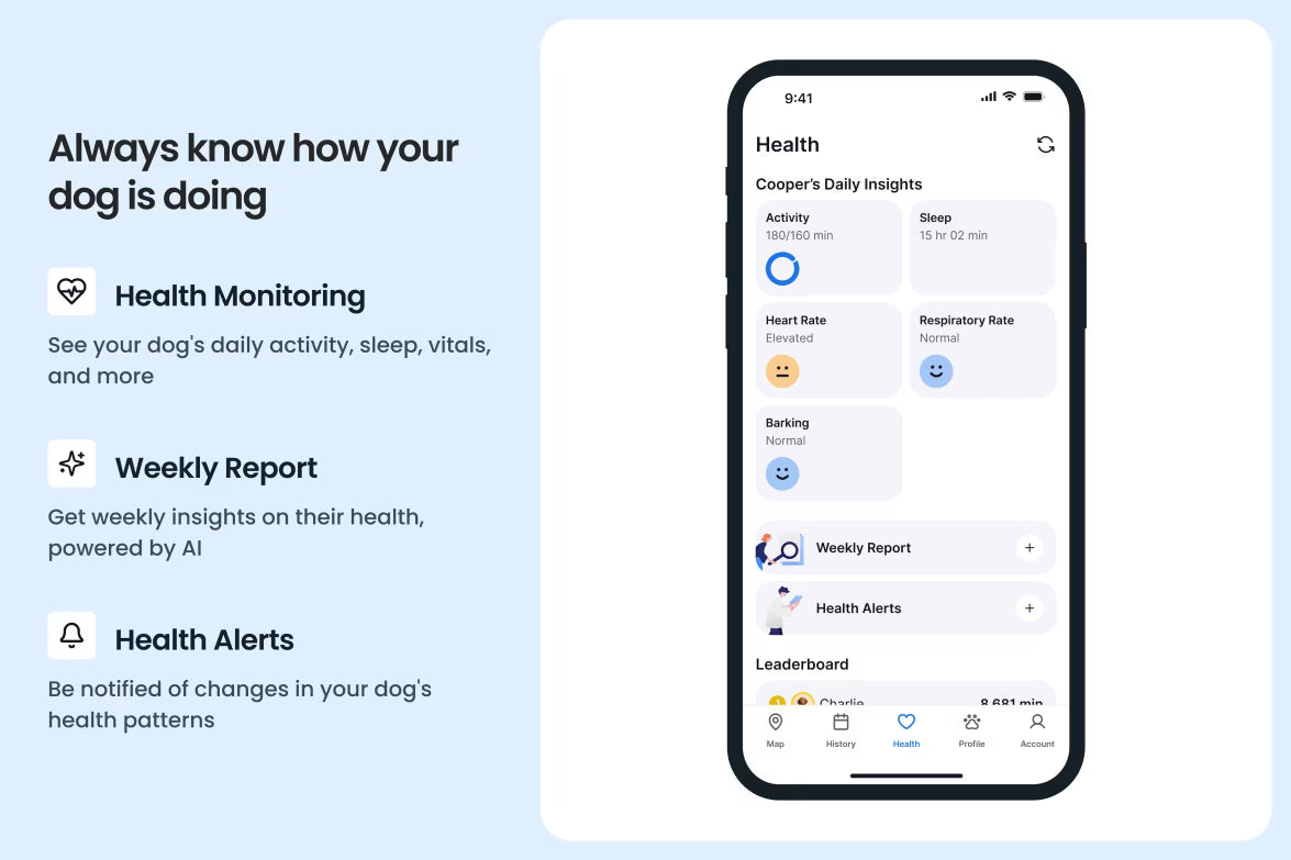 Smart collar for dogs