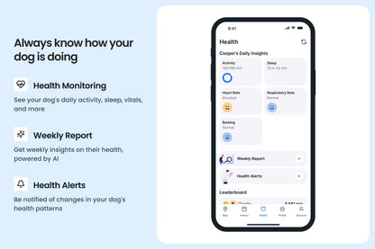 Smart collar for dogs